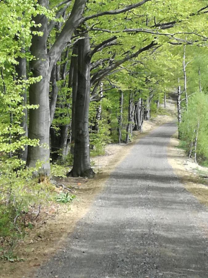 Domek W Harkabuzie Villa Exteriör bild